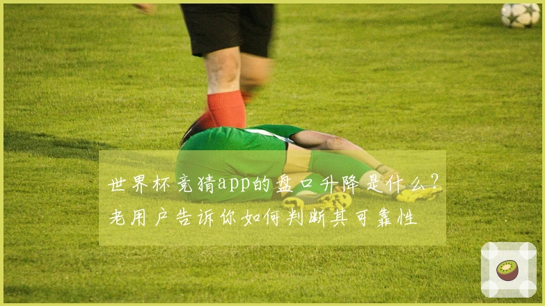 世界杯竞猜app的盘口升降是什么?老用户告诉你如何判断其可靠性